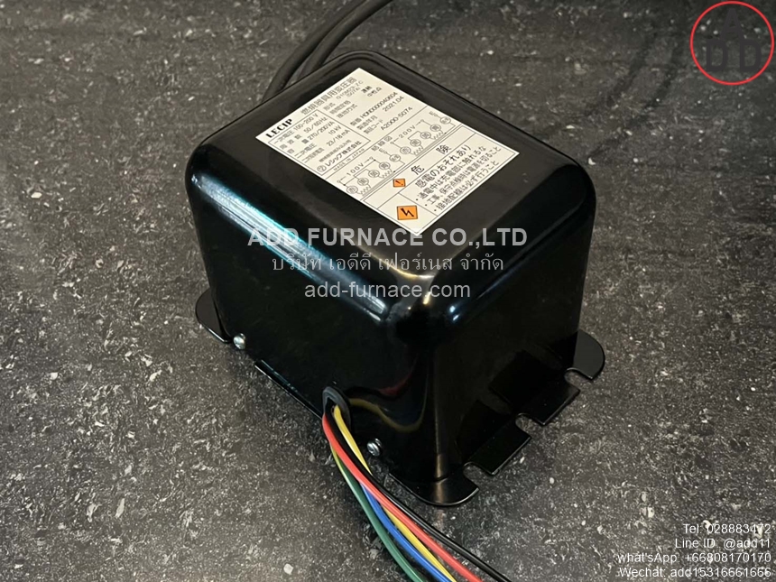 LECIP G10M23-ZC ignition transformer (4)